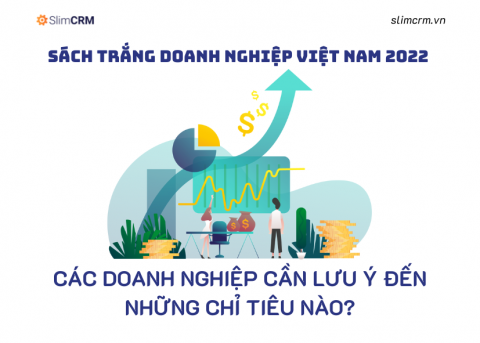 Sách trắng doanh nghiệp Việt Nam 2022