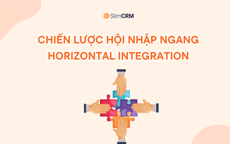 Chiến lược hội nhập theo chiều ngang Chiến lược hội nhập theo chiều ngang