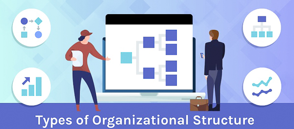 Cơ cấu tổ chức doanh nghiệp là gì?