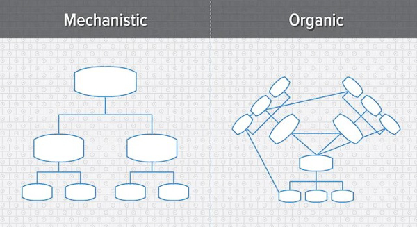 Phân biệt cơ cấu tổ chức cơ học và cơ cấu tổ chức hữu cơ 