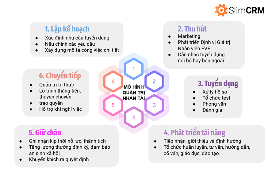 Mô hình quản trị nhân tài hiện đại cho gen z