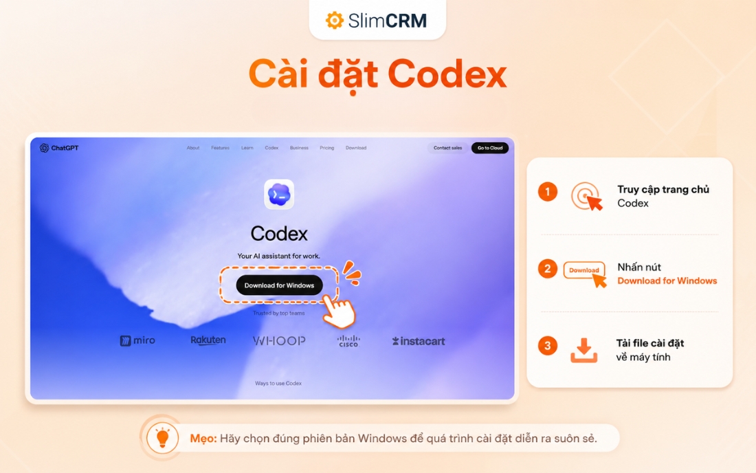 Cách dùng codex 1