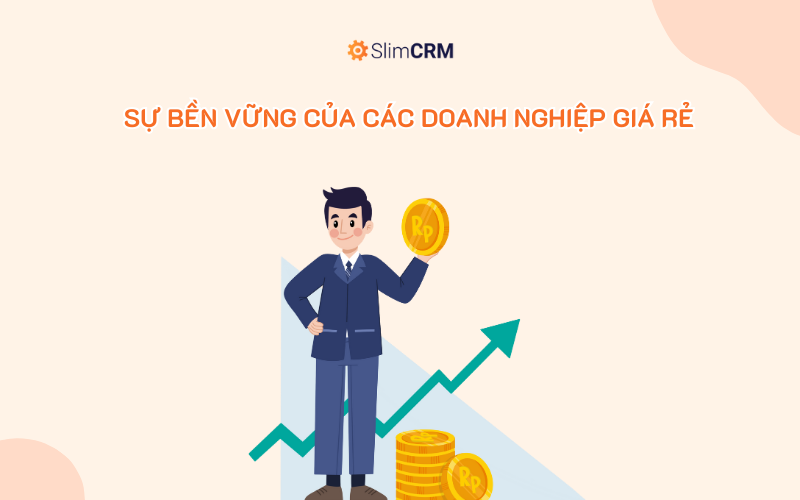 Sự bền vững của các doanh nghiệp giá rẻ