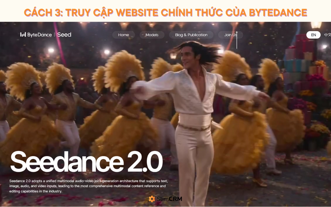 Hướng dẫn sử dụng Seedance 2.0