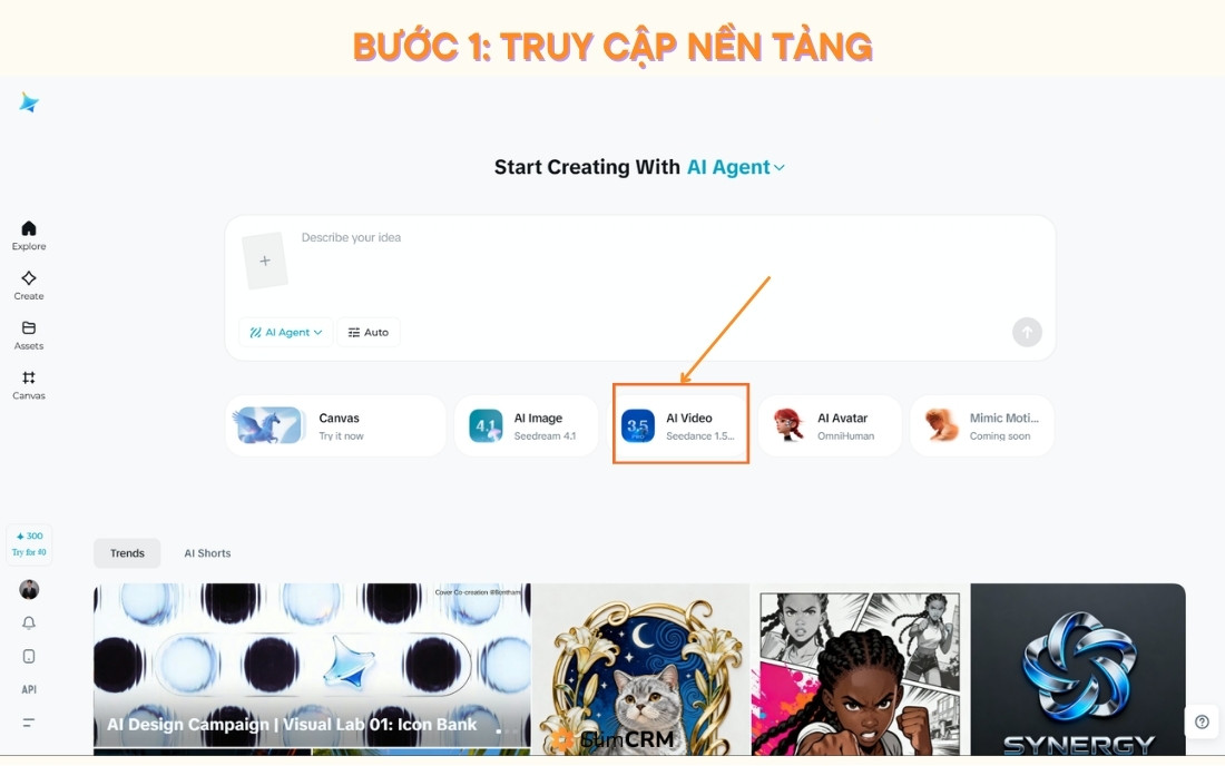 Hướng dẫn sử dụng Seedance 2.0
