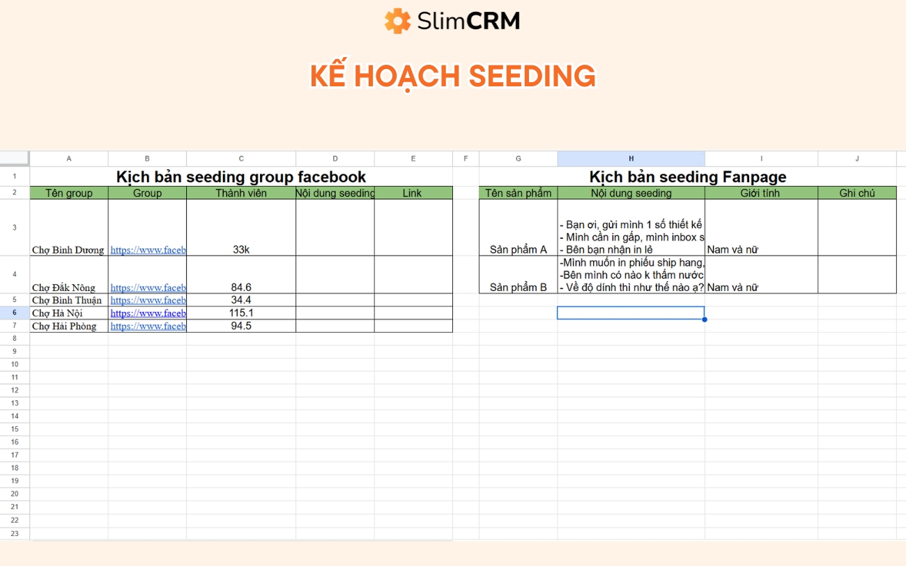 kế hoạch Seeding mẫu