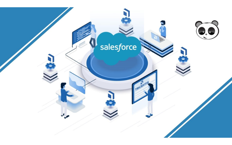 Chiến lược khác biệt hóa thương hiệu của Salesforce
