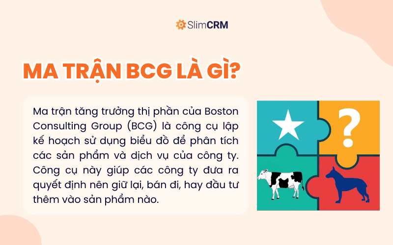 Ma trận BCG là gì?
