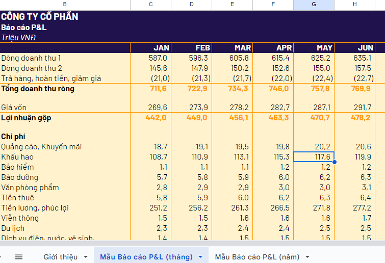 Mẫu báo cáo lãi lỗ hàng tháng và hàng năm