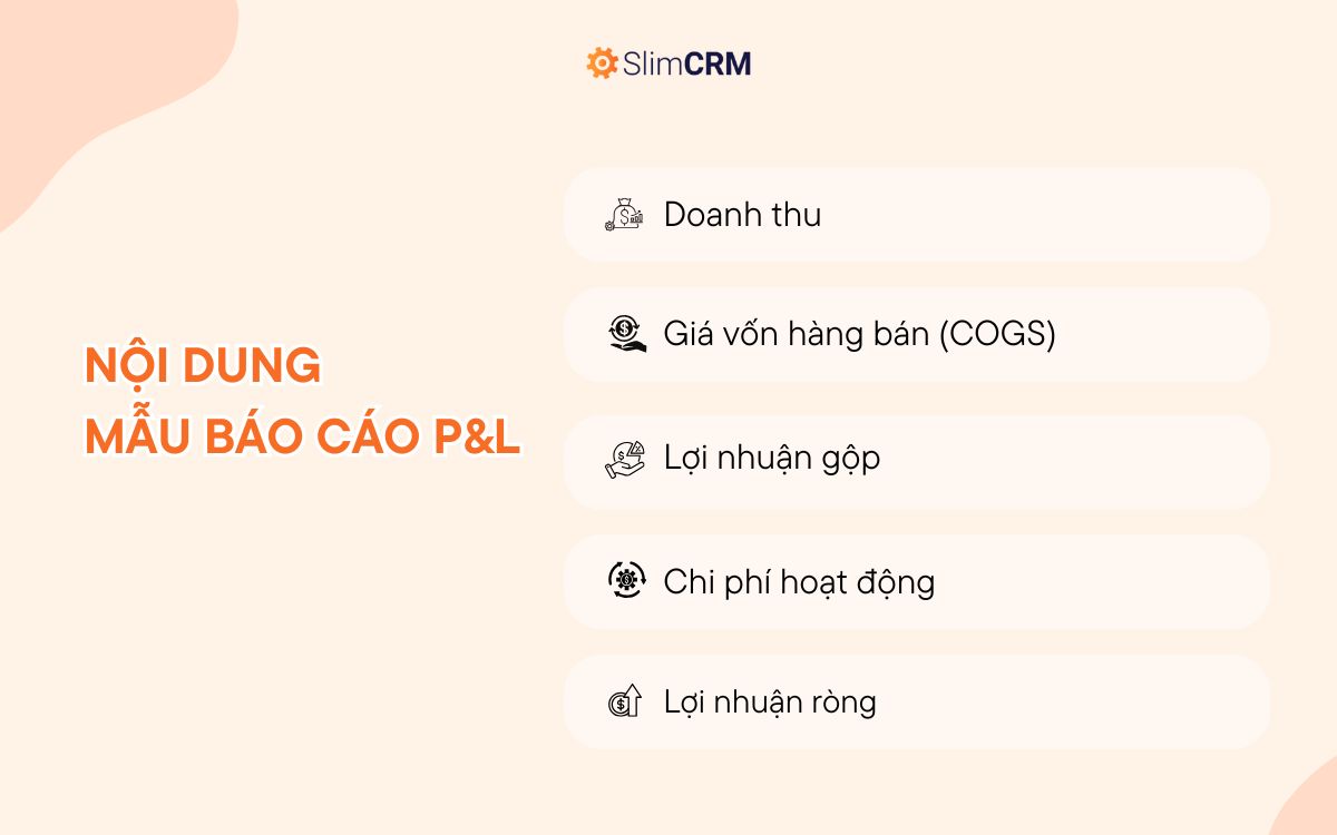 Mẫu báo cáo P&L