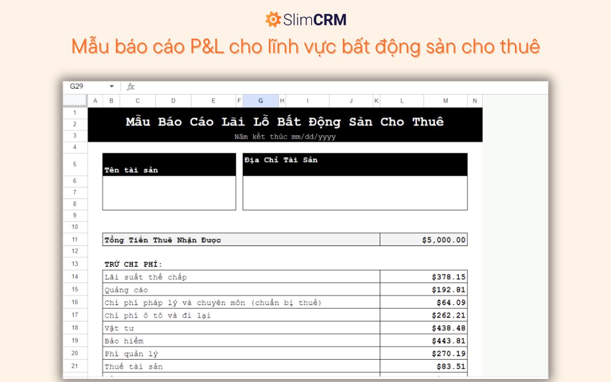 Mẫu báo cáo P&L cho lĩnh vực bất động sản 