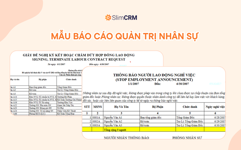 Mẫu báo cáo quản trị nhân sự