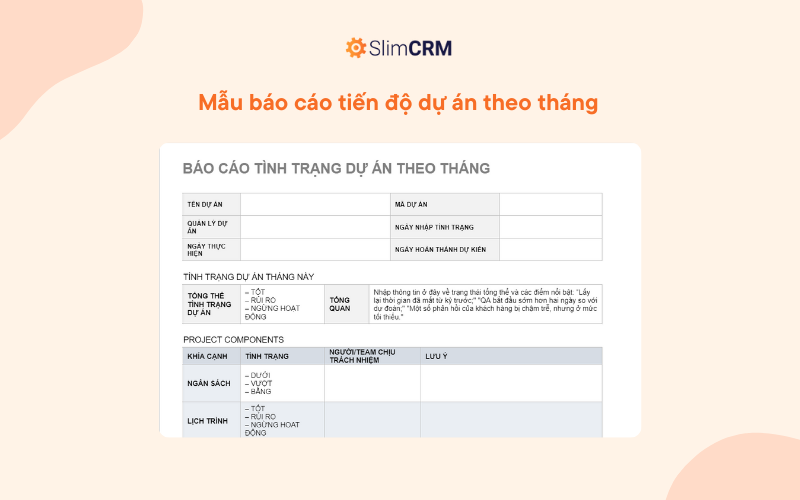  Mẫu báo cáo tiến độ dự án theo tháng 