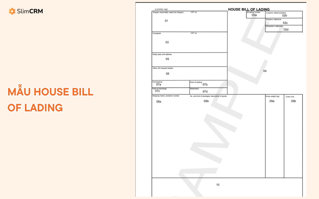 Mẫu House Bill of Lading