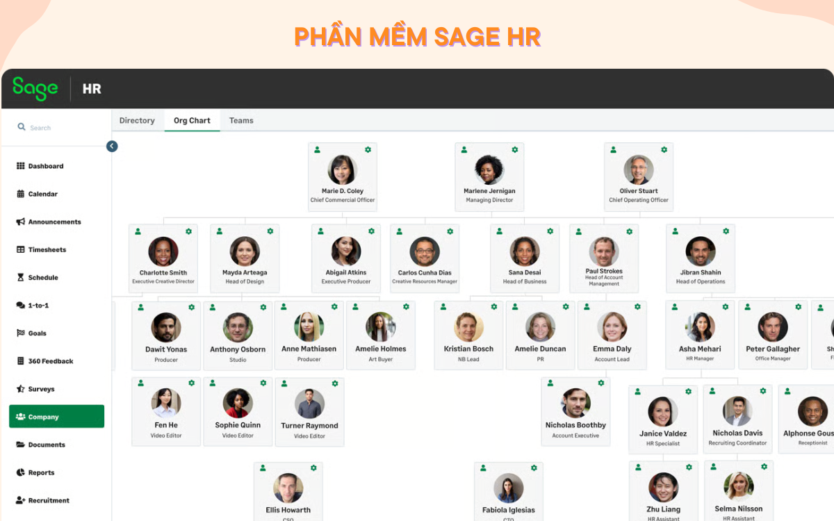 phần mềm quản lý nhân sự Sage HR