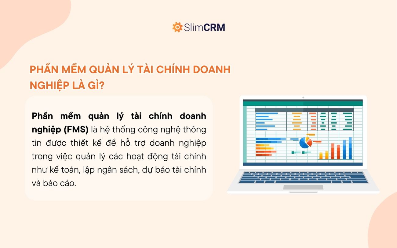 Phần mềm quản lý tài chính doanh nghiệp là gì