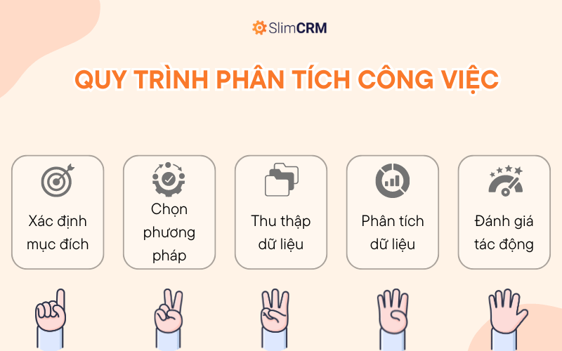 Quy trình phân tích công việc