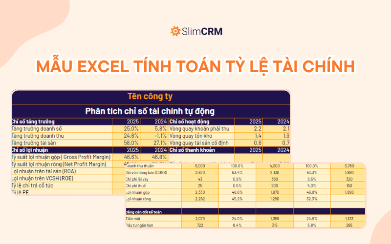 Mẫu excel tính Profit Margin và các chỉ số tài chính