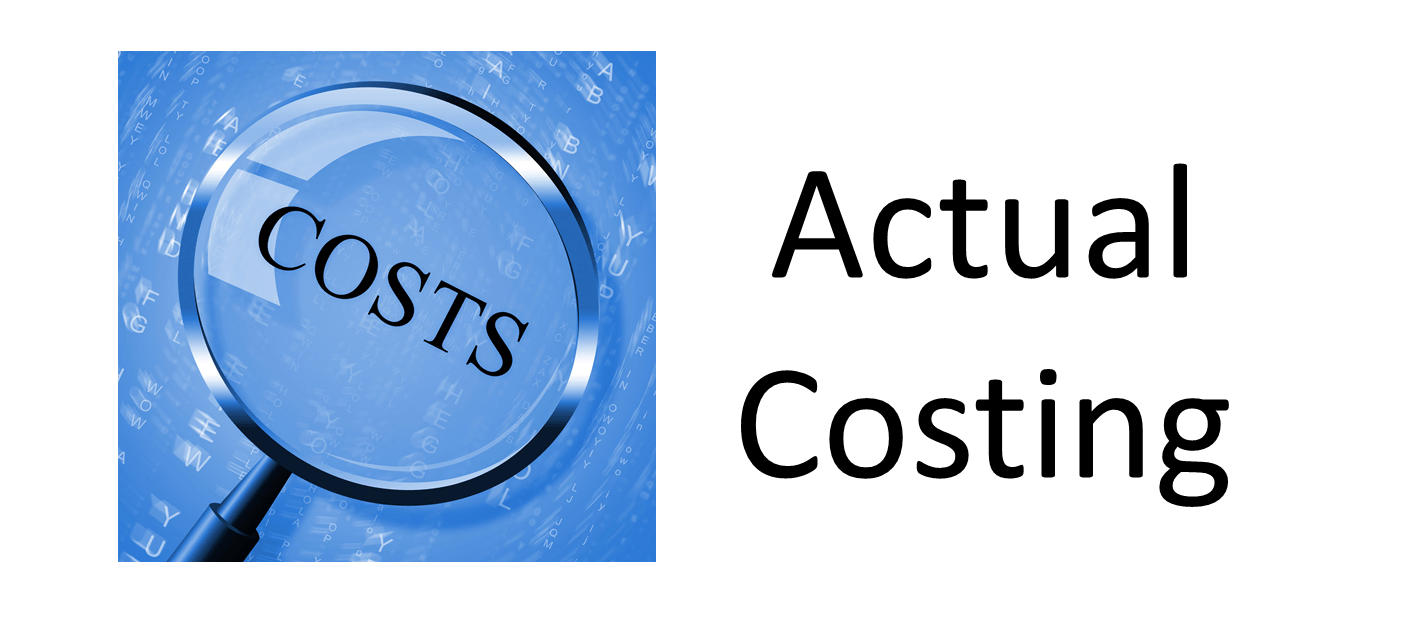 Project Actual Cost