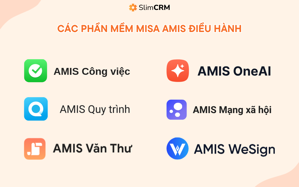 phần mềm misa amis