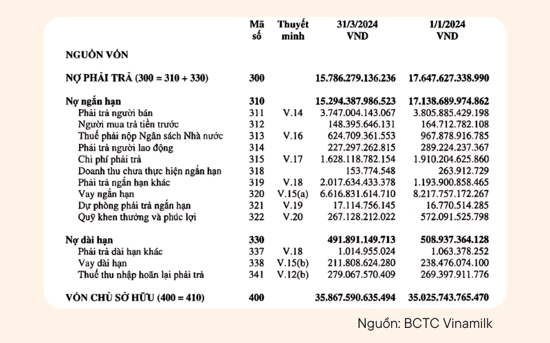 Ví dụ về tỷ số nợ trên vốn chủ sở hữu