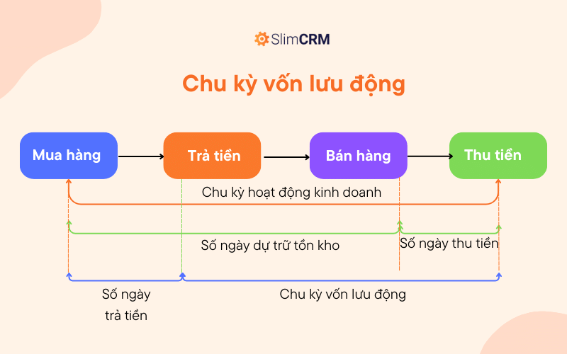 Dựa trên chu kỳ vốn lưu động, có thể thấy: vòng quay khoản phải thu = số ngày trong kỳ/số ngày thu tiền