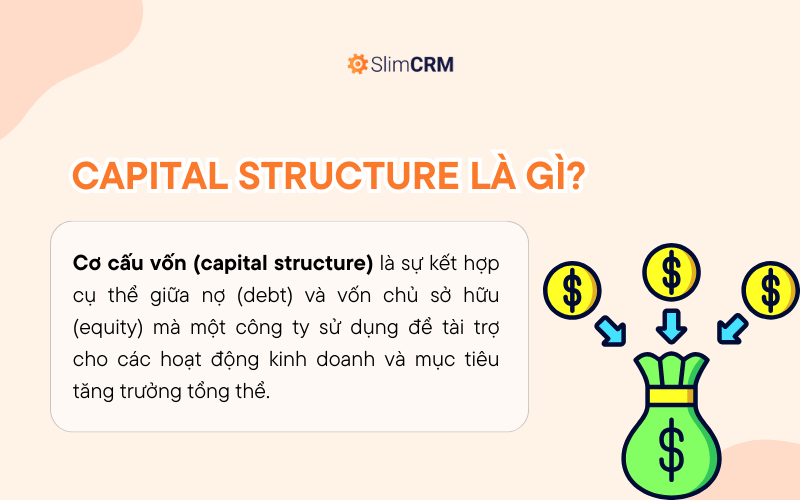 Cơ cấu vốn là gì?