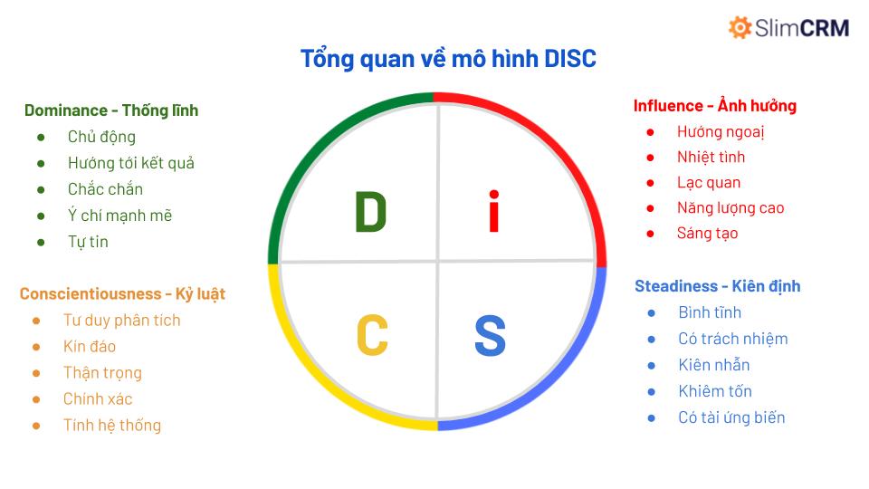 Nguyên tắc mô hình DICS