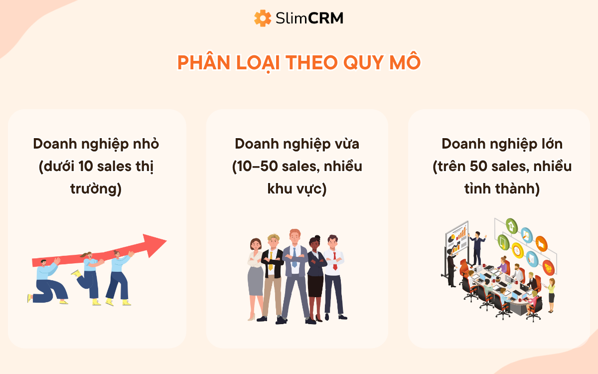 Phân loại doanh nghiệp nên dùng phần mềm DMS