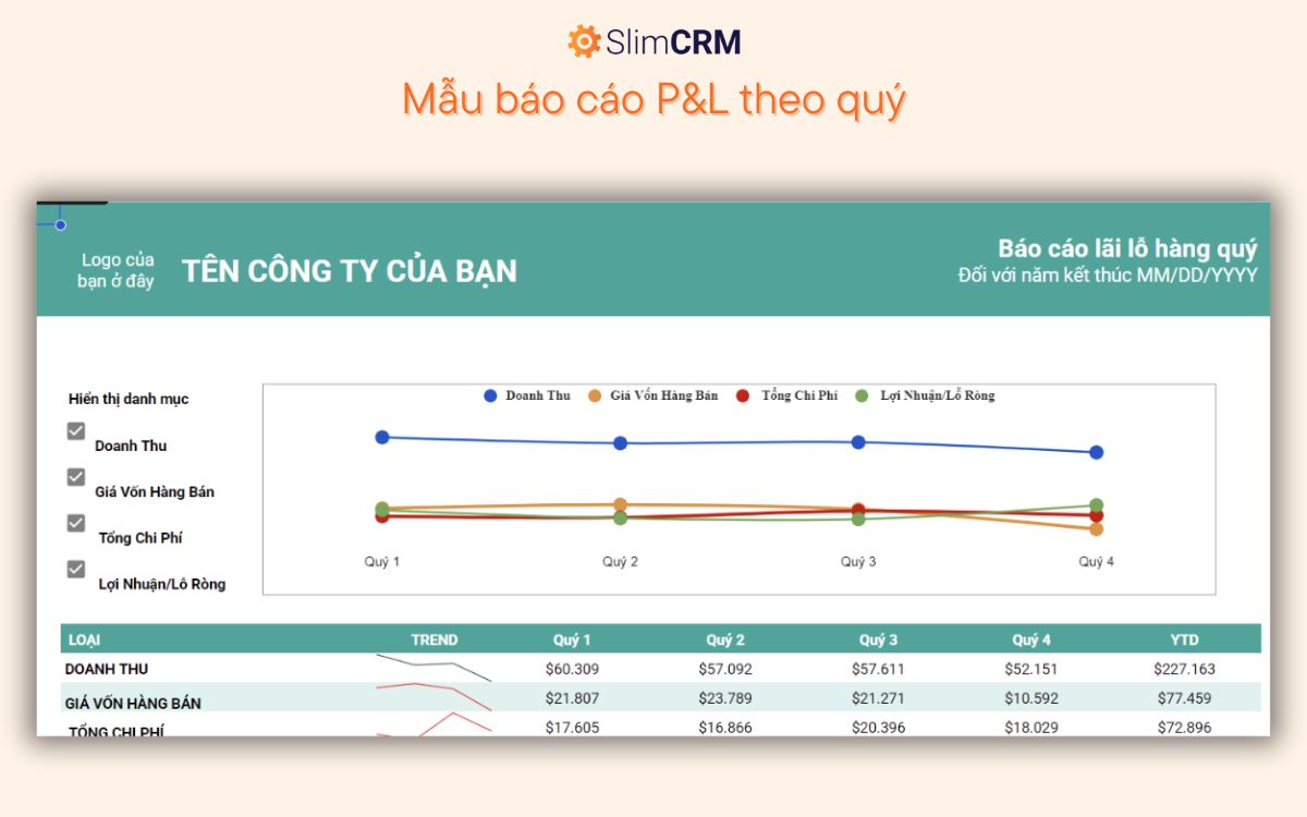 Mẫu báo cáo P&L theo quý