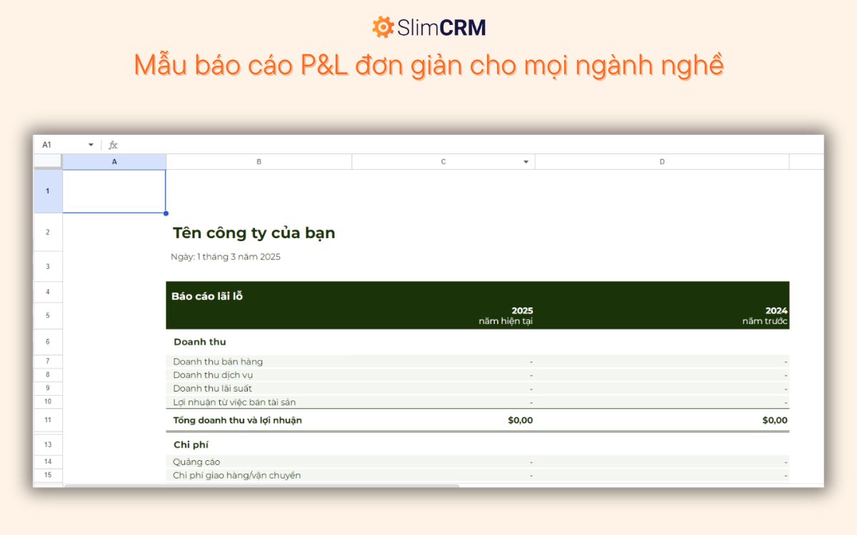Mẫu báo cáo P&L cho mọi ngành nghề