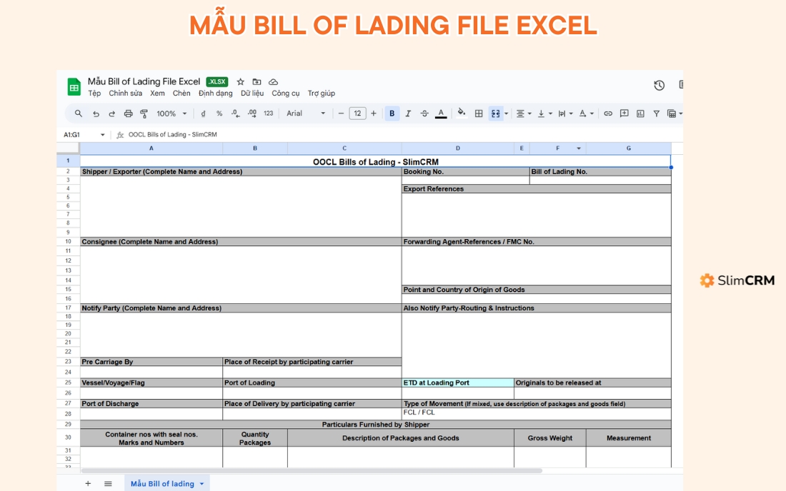 Mẫu Bill of Lading file excel