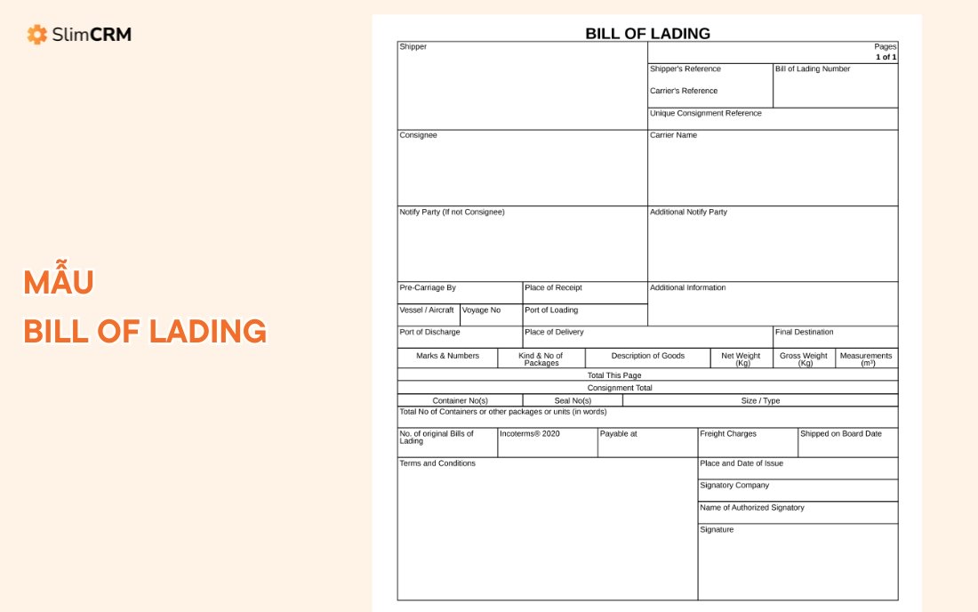 Mẫu Bill of Lading