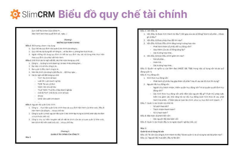 biểu đồ mẫu quy chế tài chính