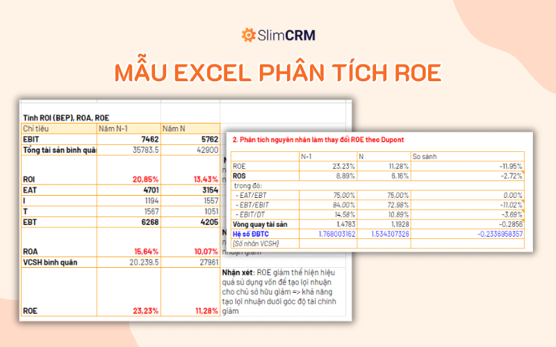 Mẫu phân tích ROE trên excel