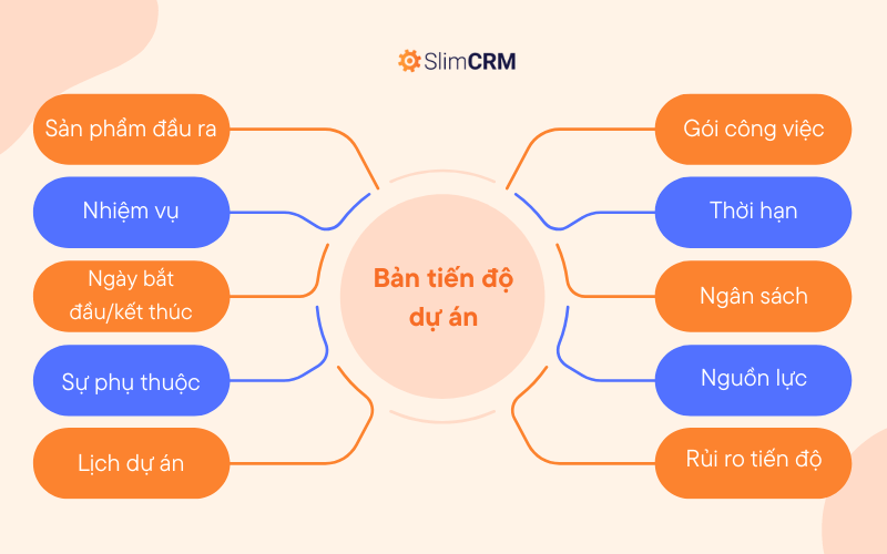 Bản tiến độ dự án bao gồm những gì?