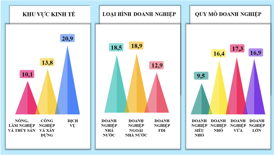 Sách trắng doanh nghiệp Việt Nam 1
