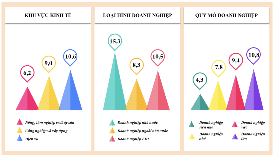 Sách trắng doanh nghiệp Việt Nam 6