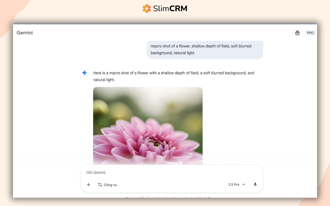 thuật ngữ trong nhiếp ảnh