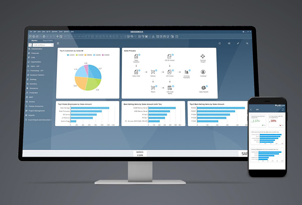 Phần mềm quản lý doanh nghiệp SAP