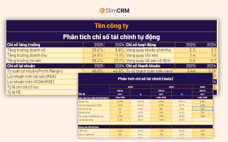 Mẫu excel phân tích các chỉ số tài chính tự động