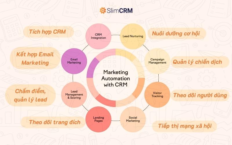 Tự động hóa hoạt động tiếp thị với CRM Marketing