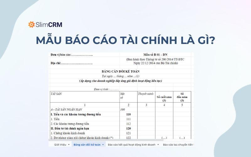 Mẫu báo cáo tài chính là gì?