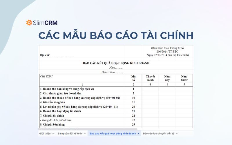 Tổng hợp mẫu báo cáo tài chính mới nhất
