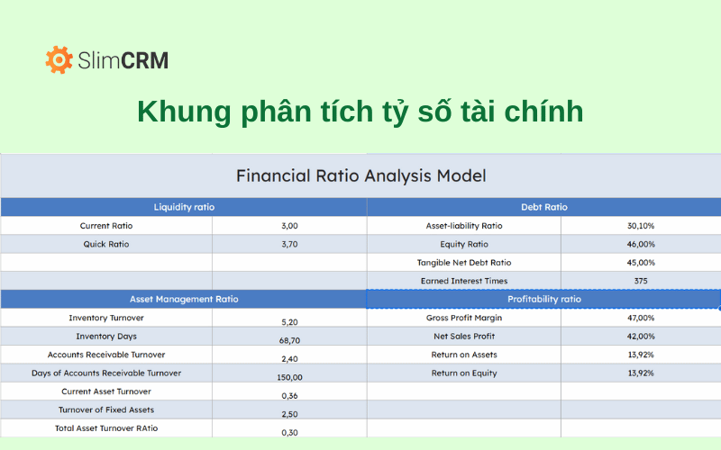 Mô hình phân tích tỷ số tài chính