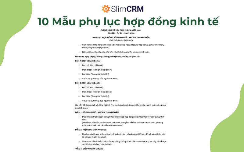 Mẫu phụ lục hợp đồng kinh tế