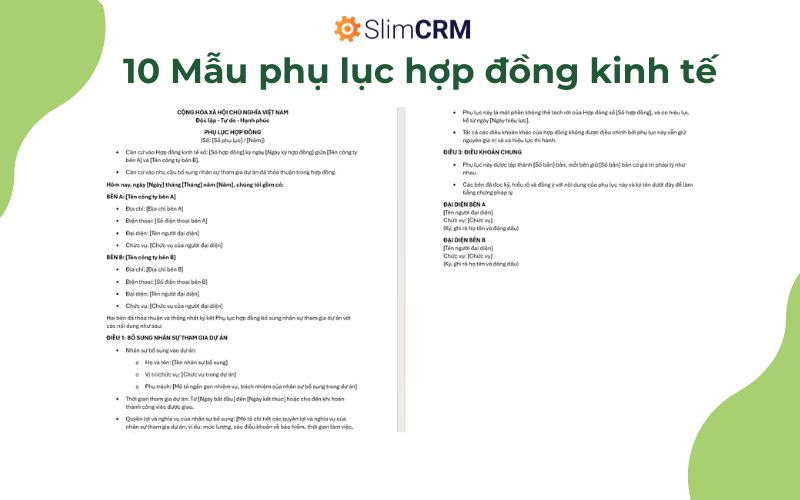 Mẫu phụ lục hợp đồng kinh tế