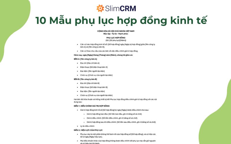 Mẫu phụ lục hợp đồng kinh tế