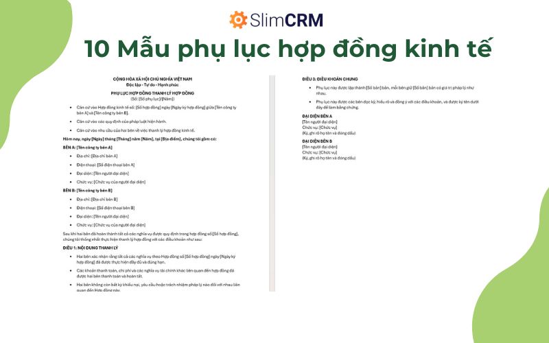 Mẫu phụ lục hợp đồng kinh tế