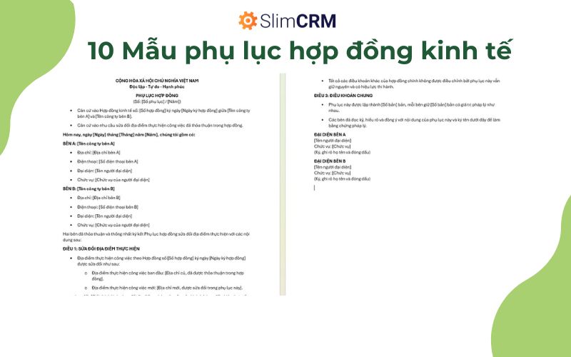 Mẫu phụ lục hợp đồng kinh tế